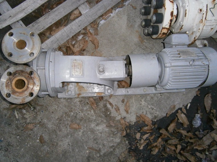 795_C.JPG